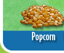 Maiz
                                Popcorn
