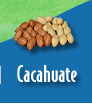 Cacahuate
