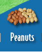 Peanuts