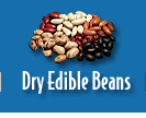 Dry Edible Beans